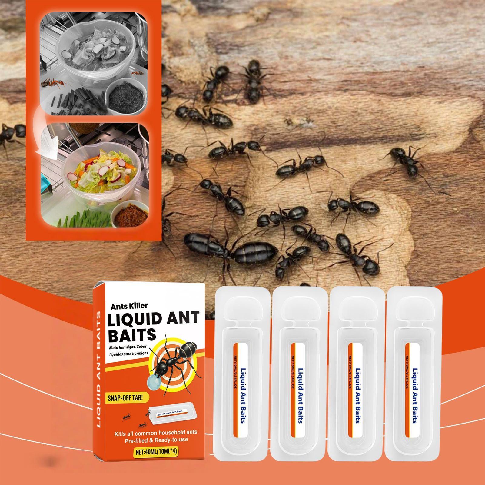 New Ant Bait Traps Indoor Ant  - Home Security Outdoor ulasan dan harga